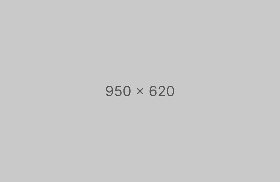 banner2