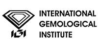 igi logo